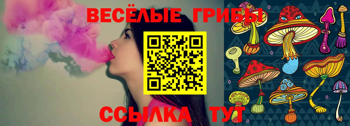 Псилоцибиновые грибы Psilocybine cubensis  Вход с VPN  Борзя  Галлюциногенные грибы мицелий 